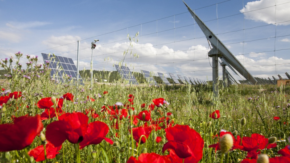 Solarenergie_WWF-Austria