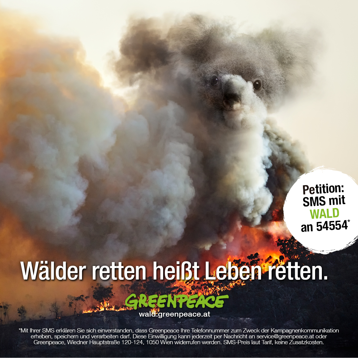 Greenpeace_Koala_WALD-Kampagne_11-2020