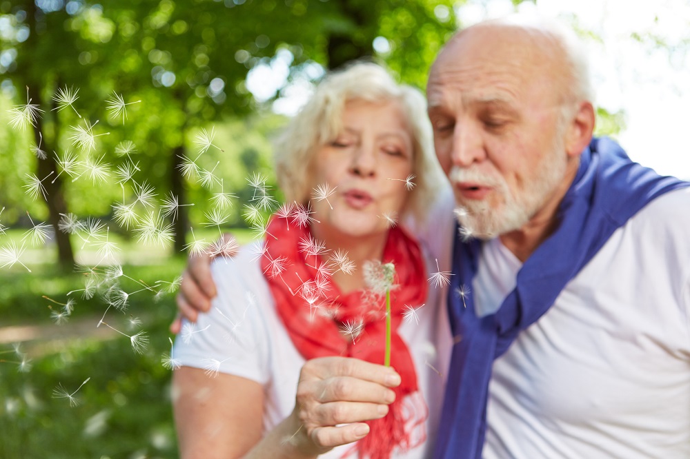 Paar Senioren pustet gemeinsam auf eine Pusteblume im Sommer